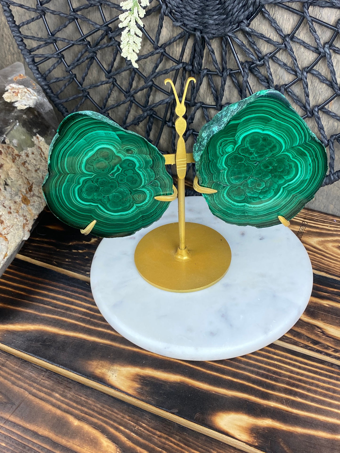 Malachite Wings on Custom Stand