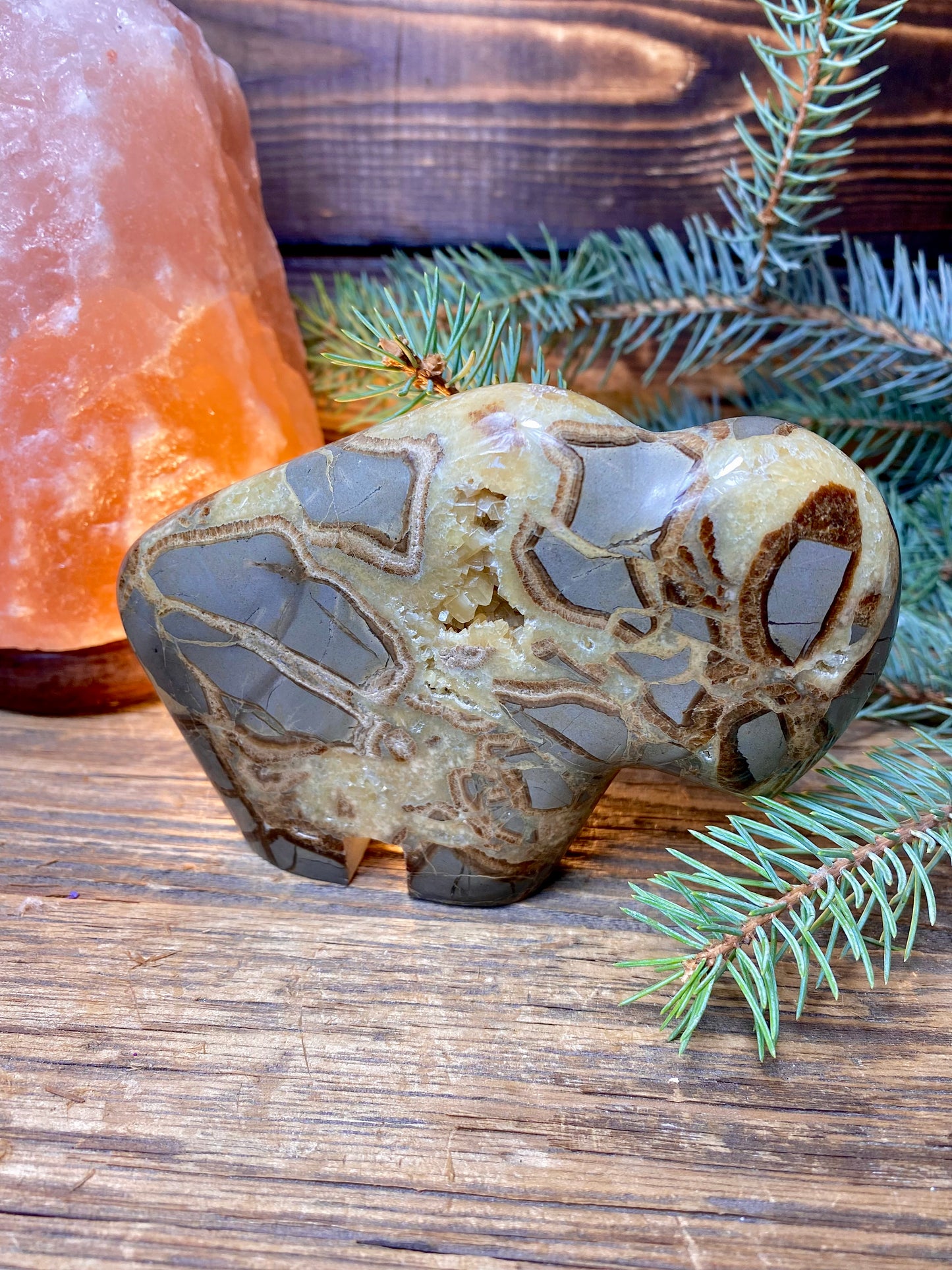Septarian Nodule Hand-Carved Buffalo