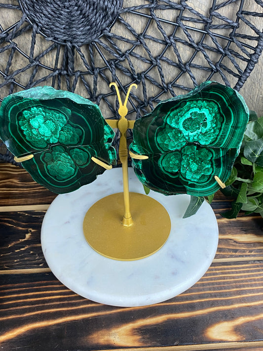 Malachite Wings on Custom Stand