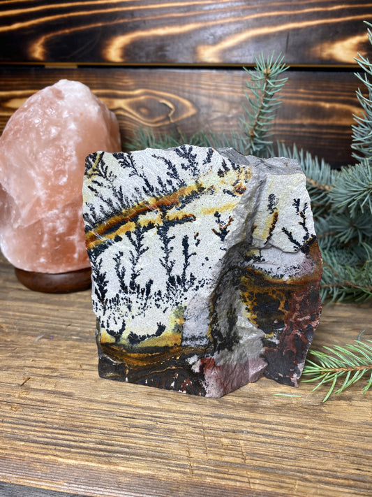 Dendritic Limestone Slab Specimen