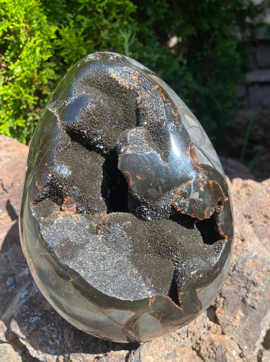 Septarian Dragon Egg Geode