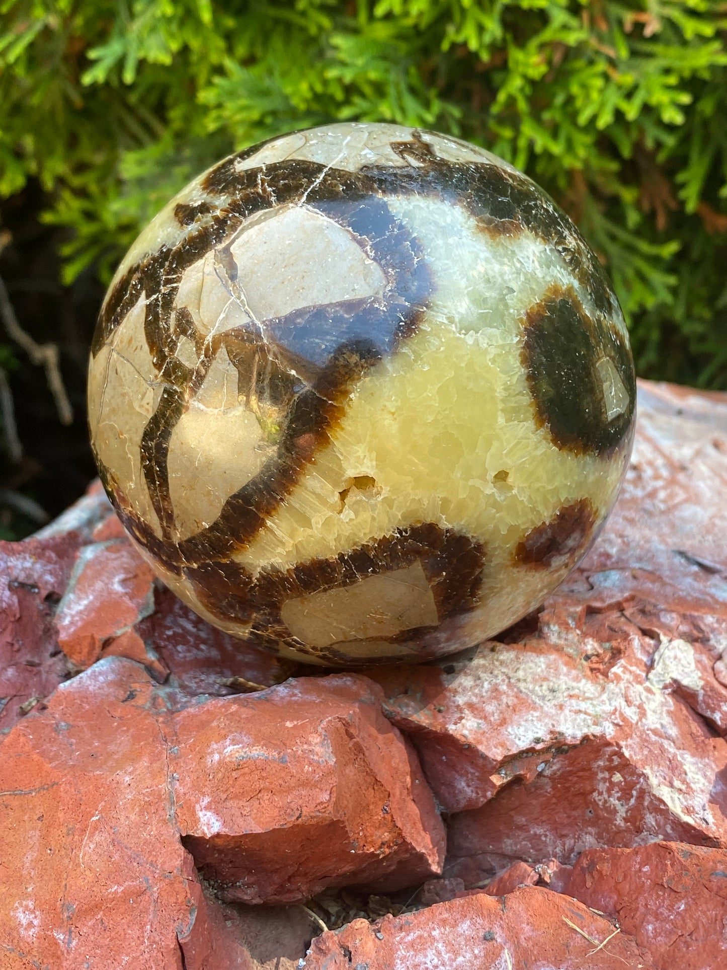 Septarian Polished Sphere